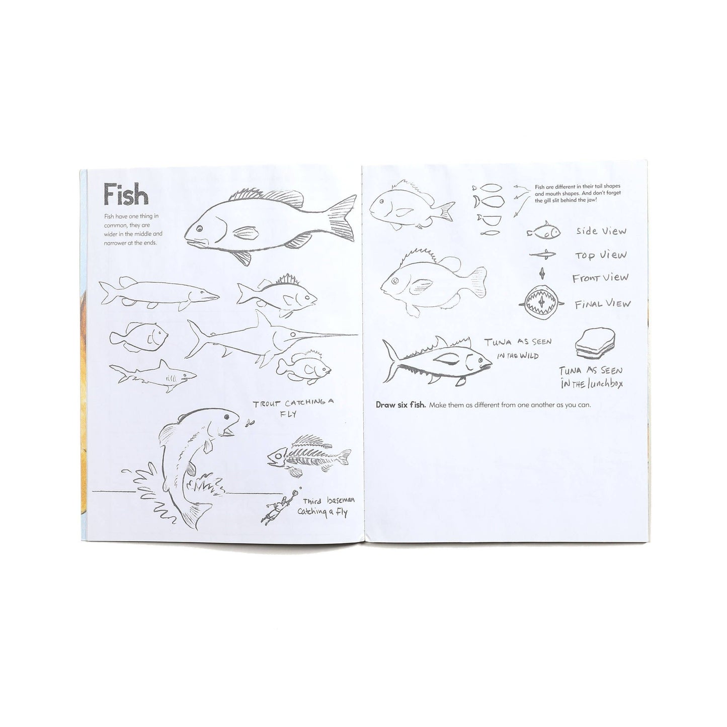 eeBoo - Learn to Draw Animals Art Book