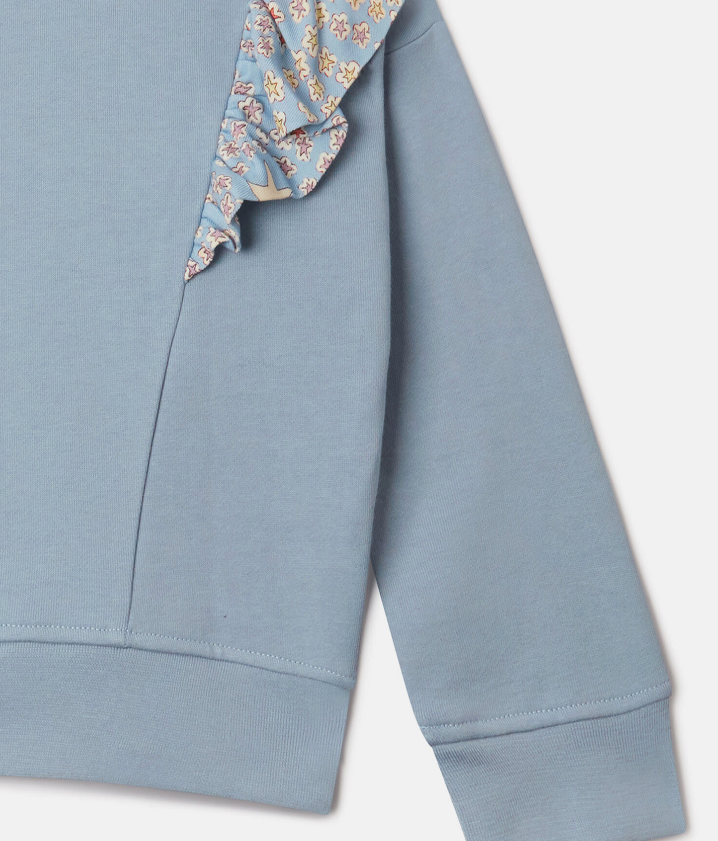 Stella McCartney Kids Blue Sweatshirt