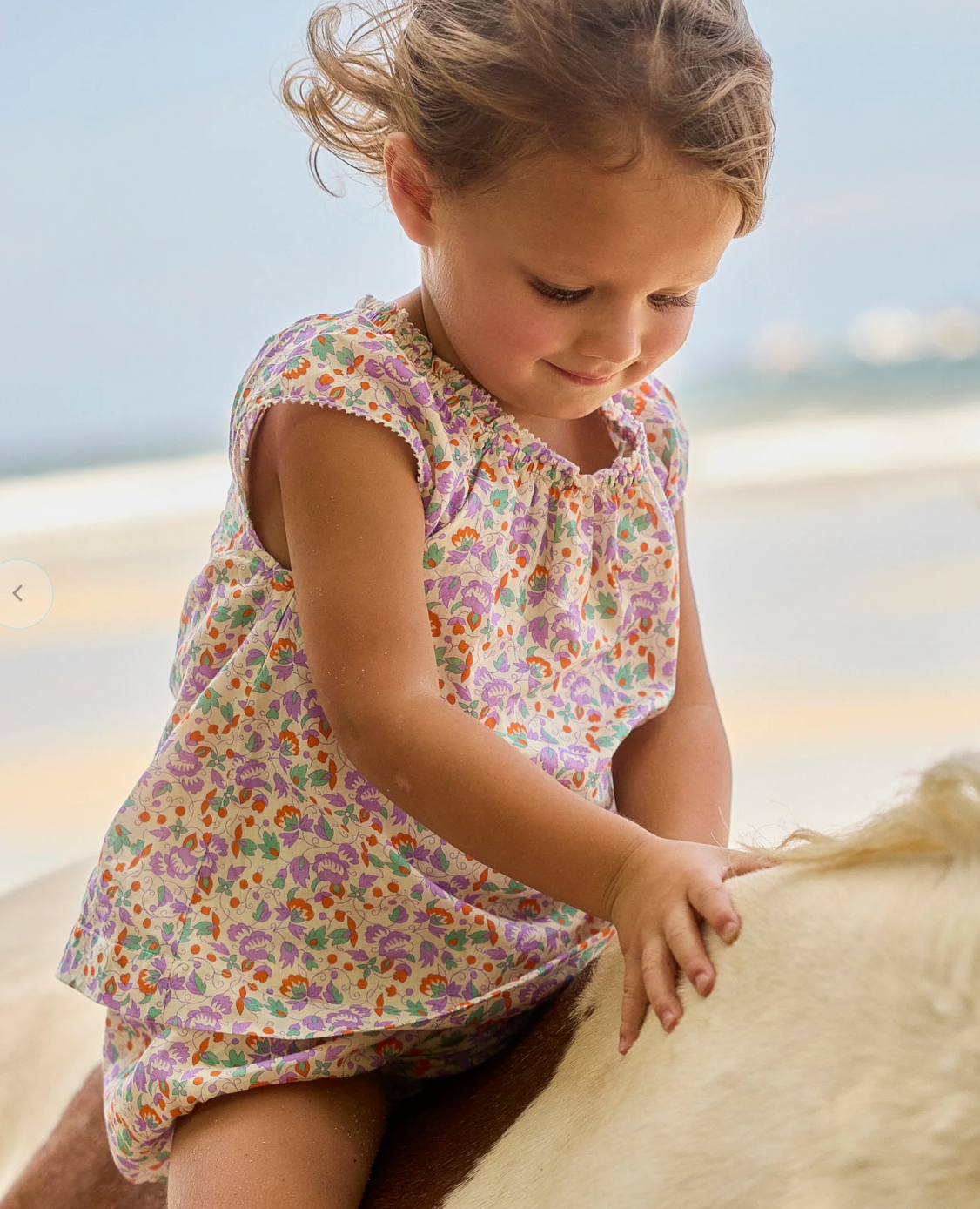Minnow Baby Girl Orchid Floral Flutter Sleeve Bloomer Set