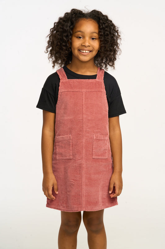 Chaser Emerson Tank Dress - Dusty Rose