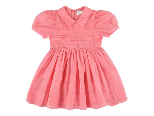 Morley Uzes Dress Dress With Collar and Pleats in Rose