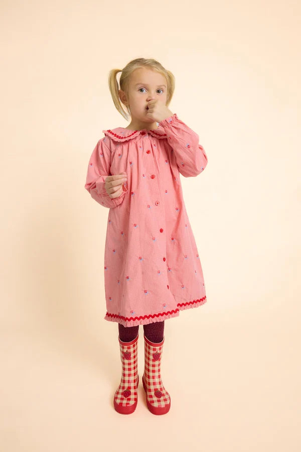 Floss Sonja Dress Pink Rose Gingham