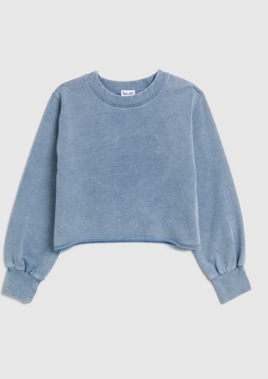 Splendid - Shades of Blue Sweatshirt