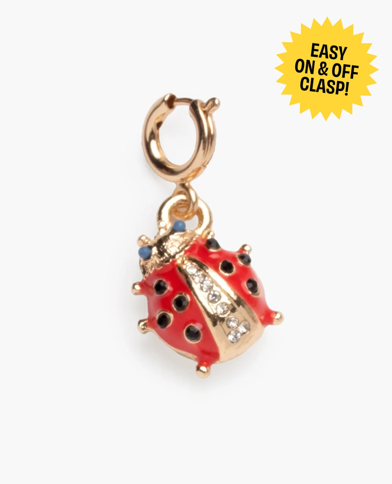 Super Smalls Lucky Ladybug Super Charm