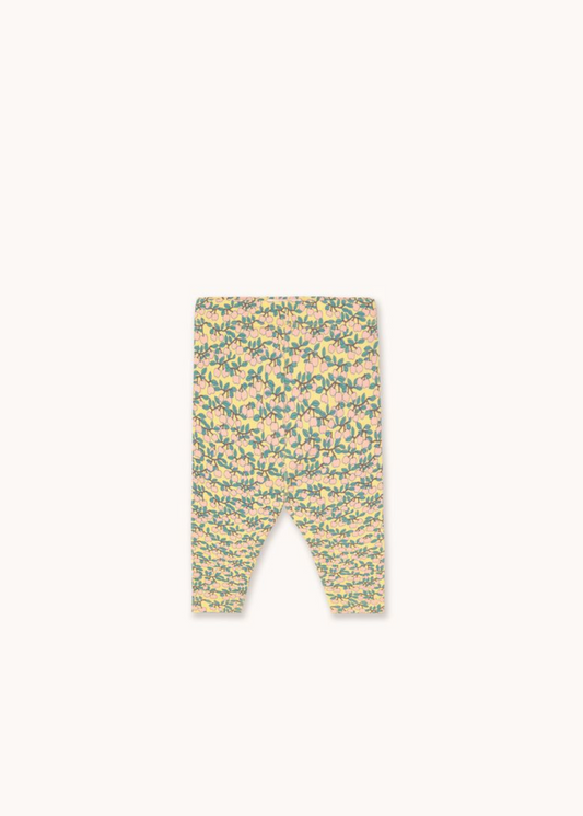 Tiny Cotton - Mini Apples AOP Rib Baby Pant