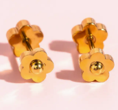 Pierced Screw Back Earrings