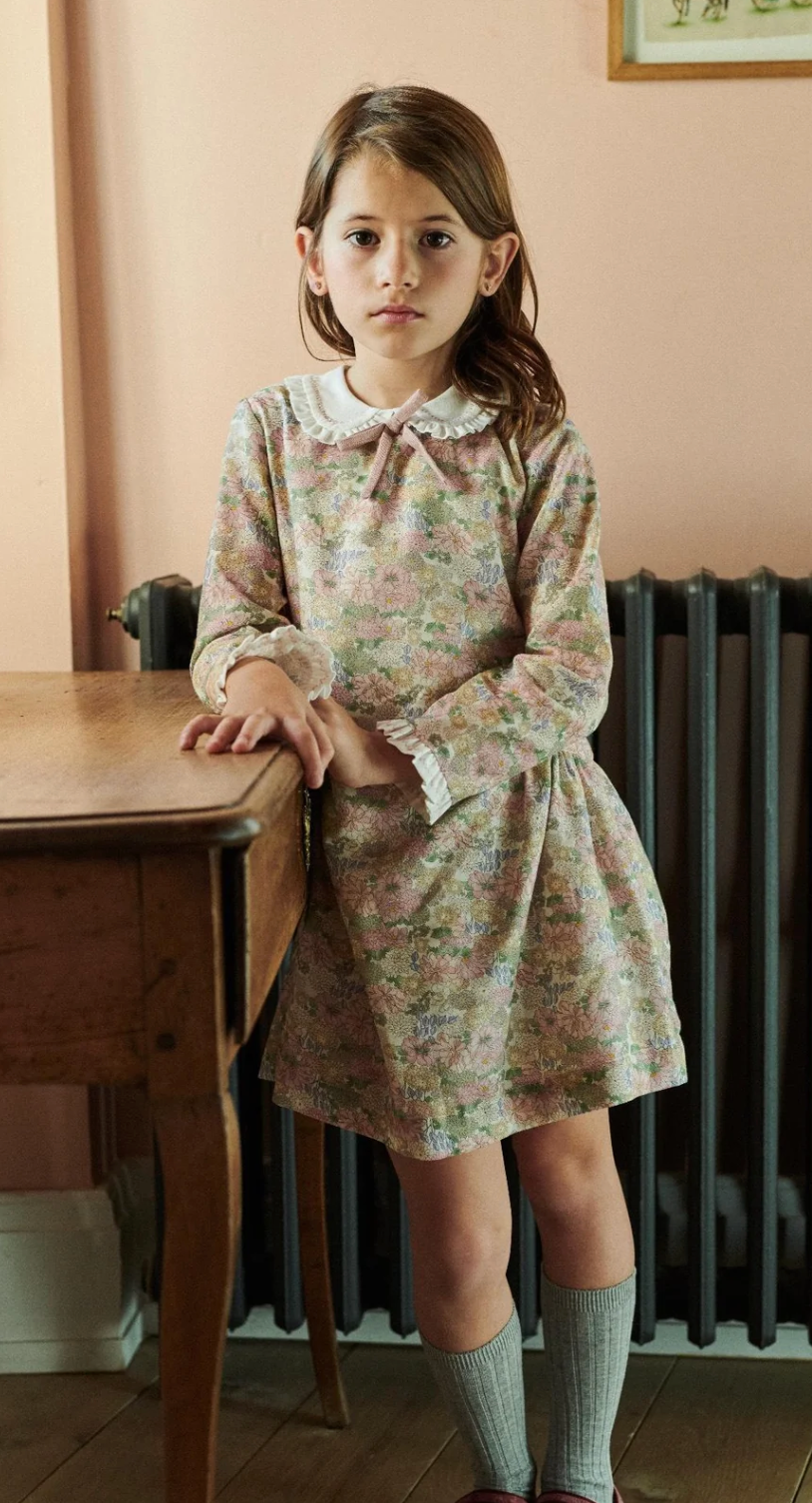 La Coqueta Pink Floral Laura Girl Drop Waist Dress