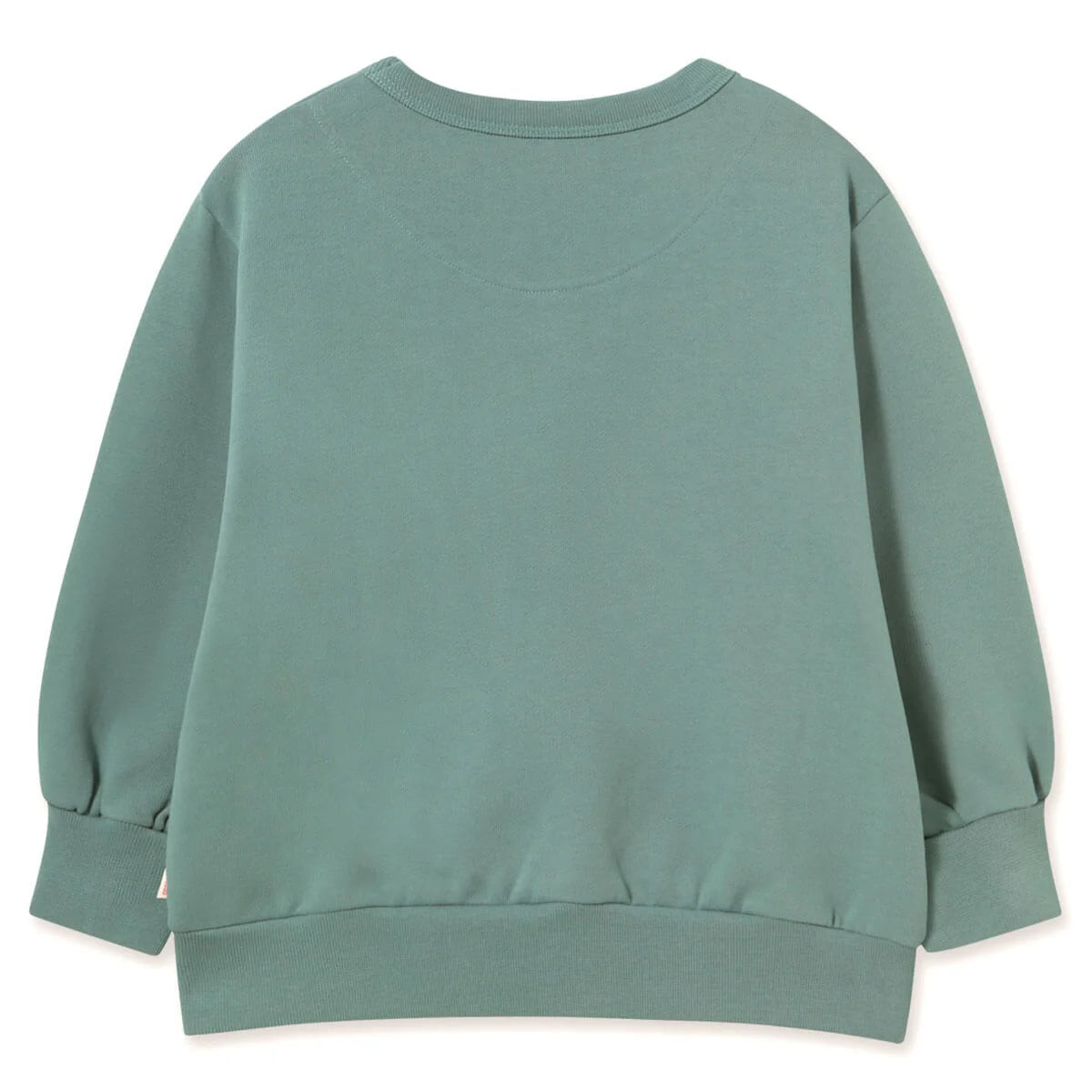 Tiny Cottons Two Dogs Graphic Sweatshirt Teal