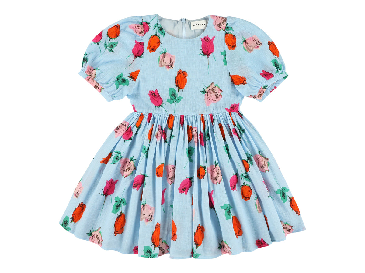 Morley Welsh Roses Sky Dress