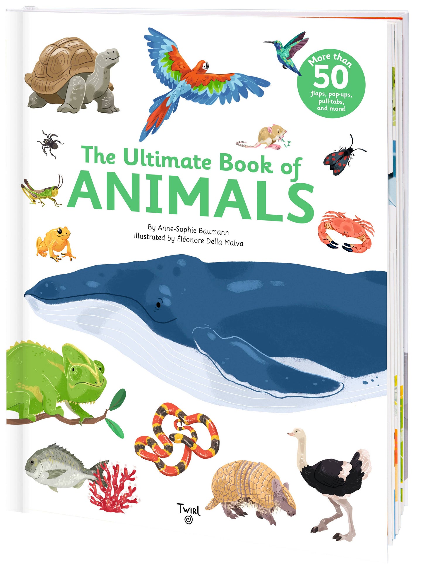 Chronicle Books - The Ultimate Book of Animals