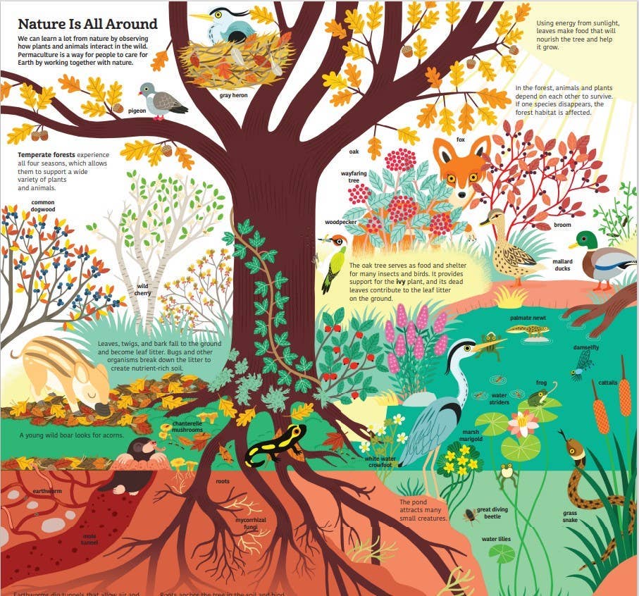 Chronicle Books - Ultimate Spotlight: Caring for Earth