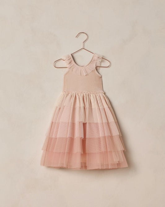 Noralee Pixie Dress Pink Ombre