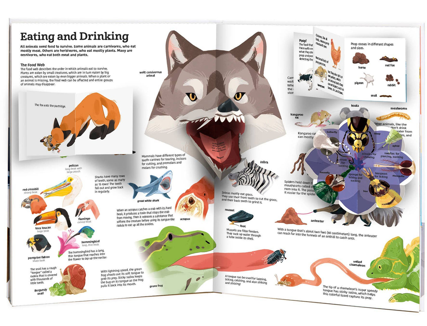 Chronicle Books - The Ultimate Book of Animals