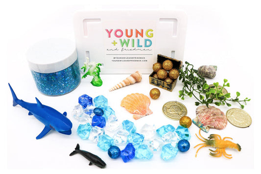 Young + Wild and Friedman Mini Sensory Kits