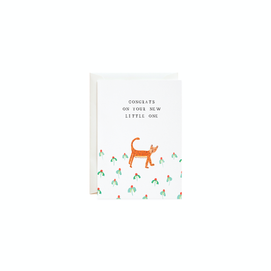 Mr. Boddington's Studio - Little Cheetah - Petite Card