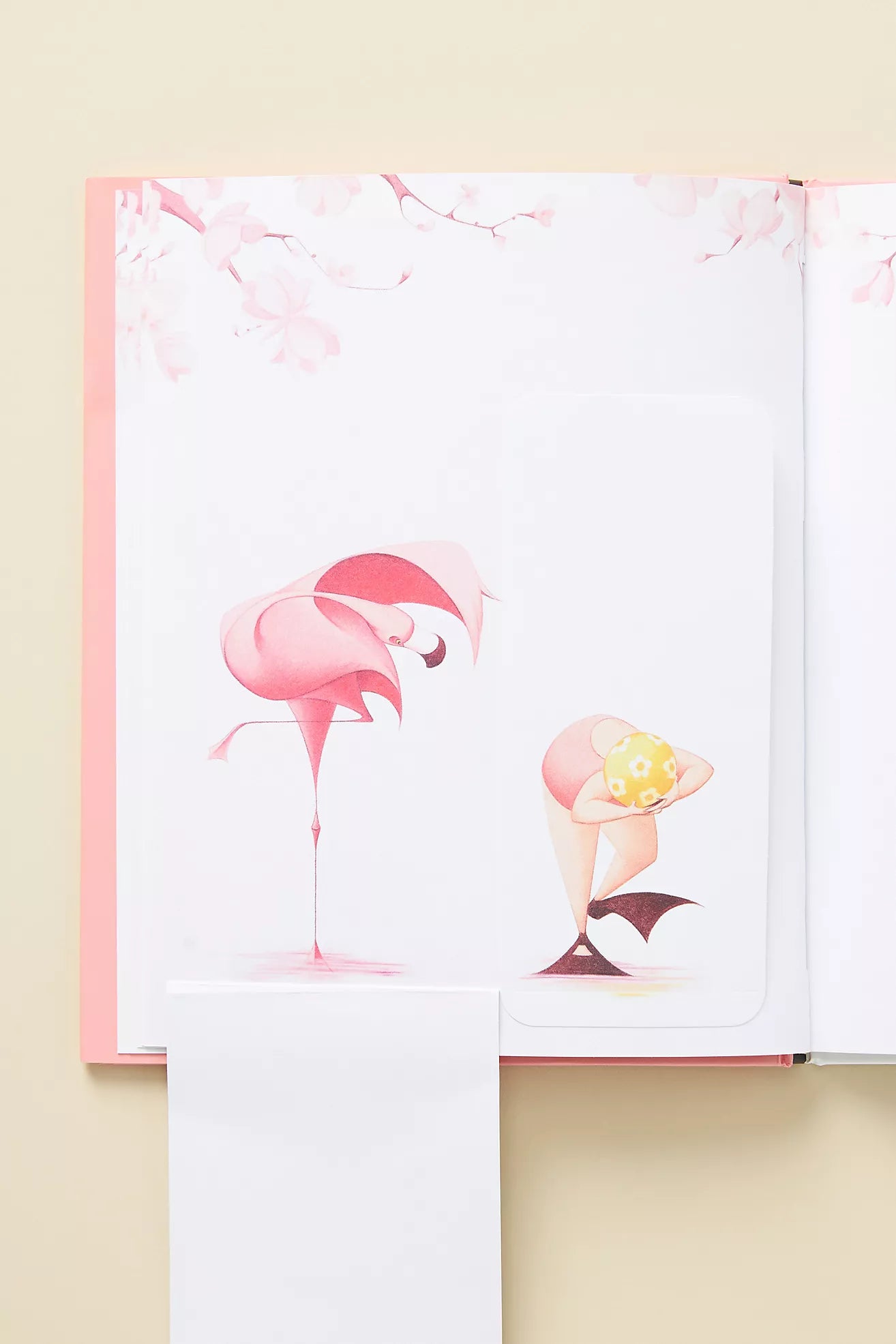 Flora and the Flamingo Book