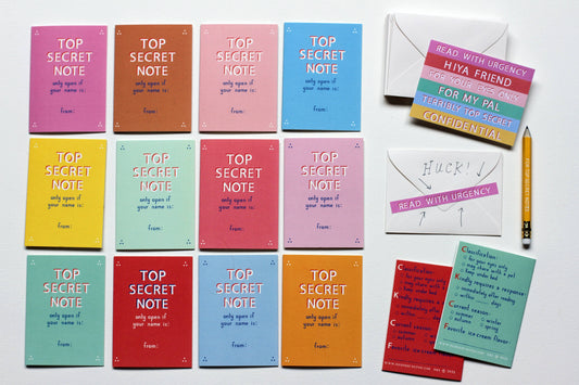 Mr. Boddington's Studio - Top Secret Friendship Notes Set